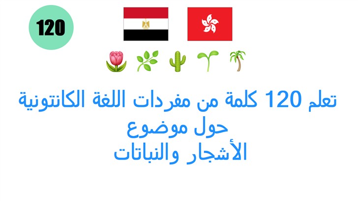 تعلم 120 كلمة من مفردات اللغة الكانتونية حول موضوع: الأشجار والنباتات
